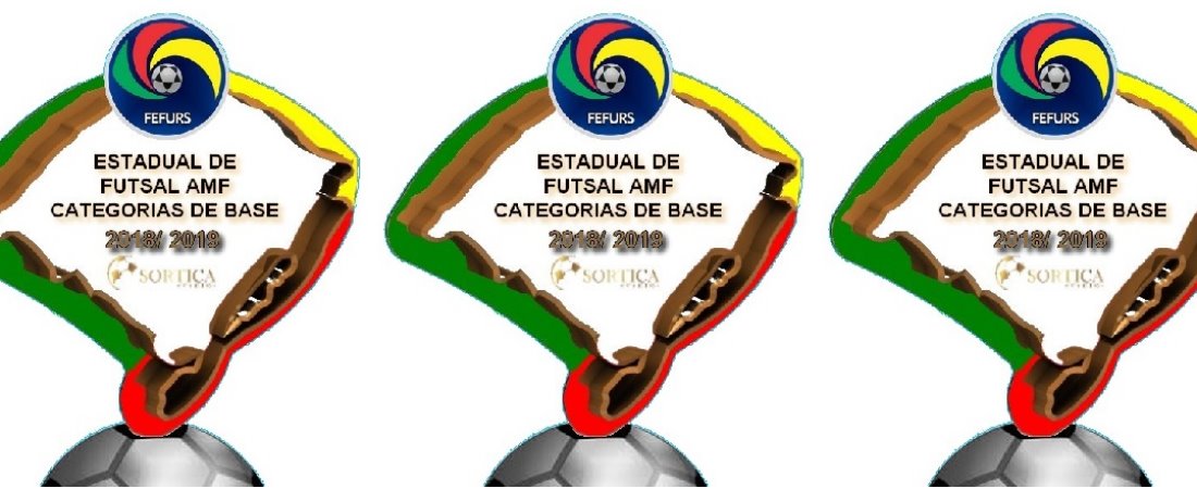 CAMPEONATO ESTADUAL DE FUTSAL AMF CATEGORIAS DE BASE 2018/2019